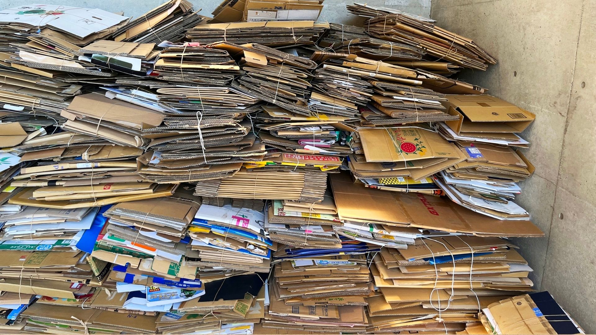 Sakarya Karton Hurda